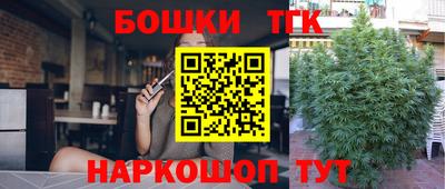 эйфоретик Аргун