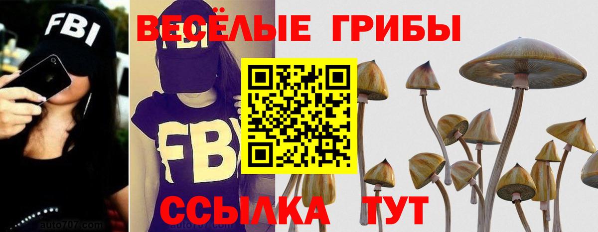 Псилоцибиновые грибы прущие грибы  Вход с VPN  Галлюциногенные грибы мицелий  Белорецк 