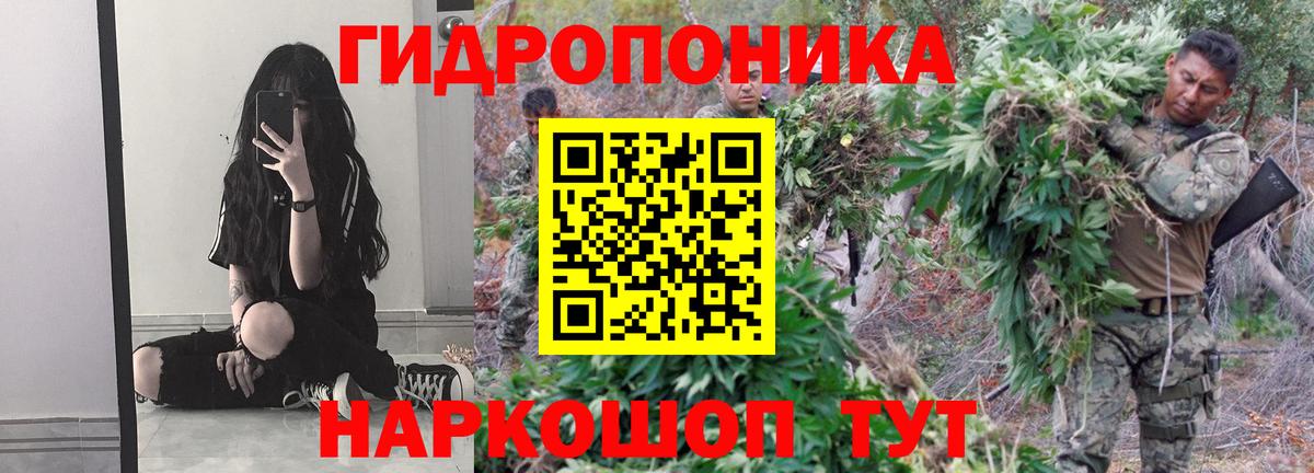 Шишки марихуана гибрид Белорецк